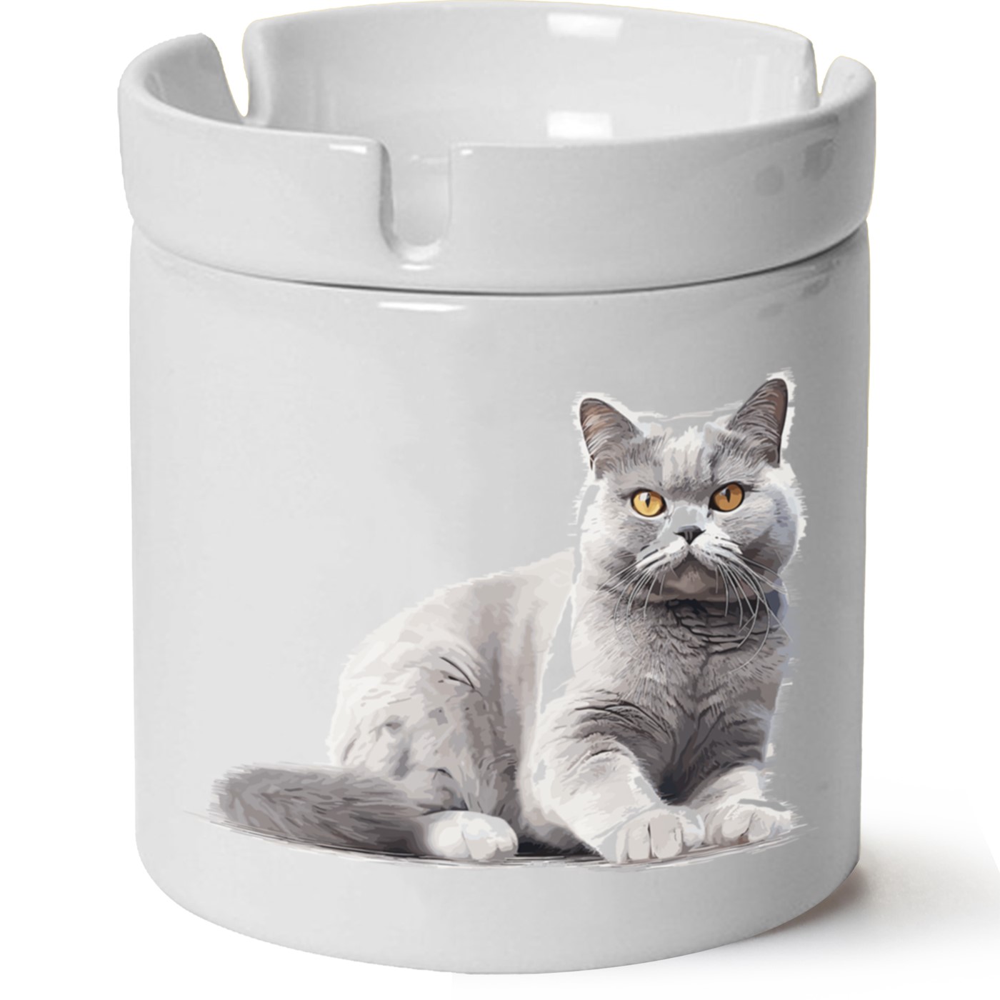 Kedi Baskılı Porselen At Söndür Küllük