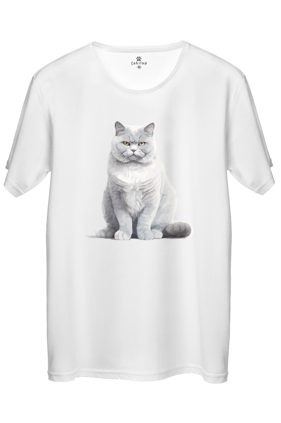 Kedi Baskılı Regular Tişört