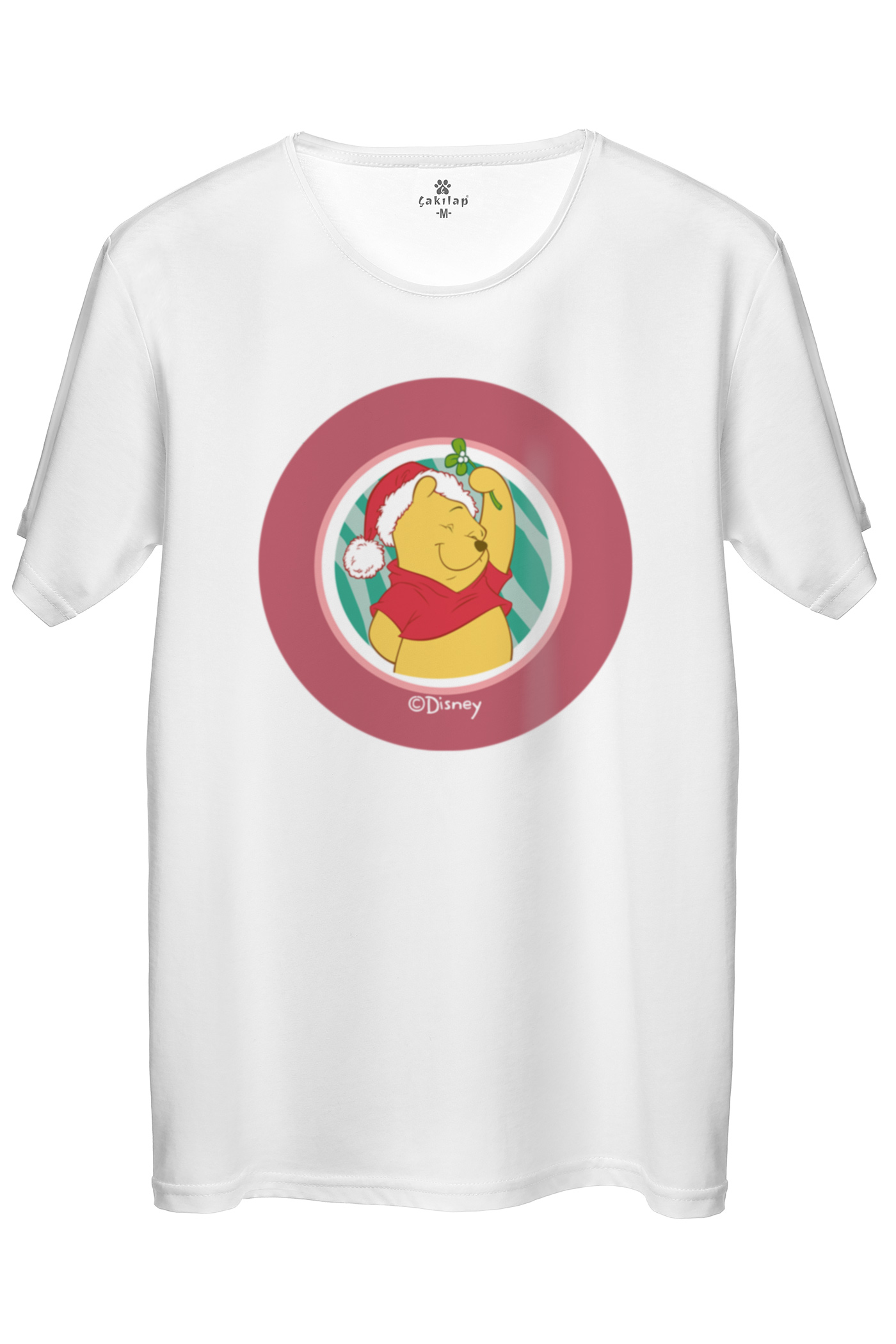 Winnie The Pooh Baskılı Regular Tişört